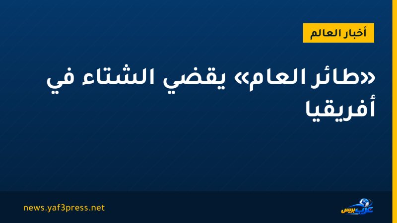 «طائر العام» يقضي الشتاء في أفريقيا