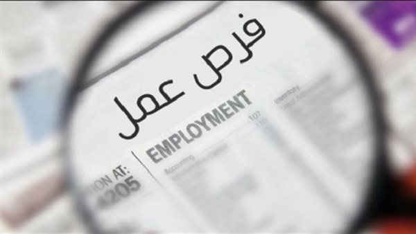 وظائف محافظة المنيا 2026، تفاصيل فرص العمل الجديدة