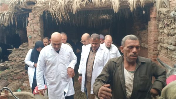 بيطري الشرقية يجرى المسح التناسلي والتلقيح لـ8585 رأس ماشية