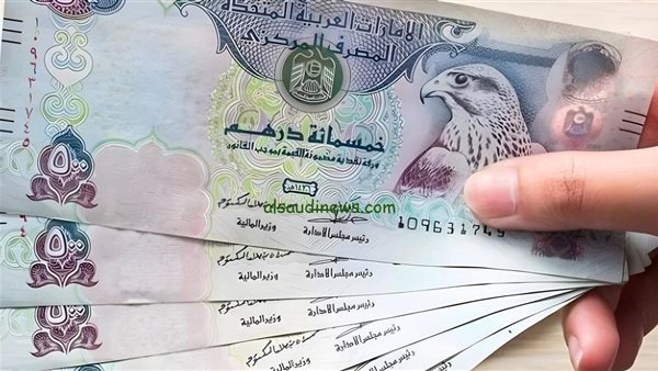 سعر الدرهم الإماراتي مقابل الجنيه في البنوك المصرية (آخر تحديث)