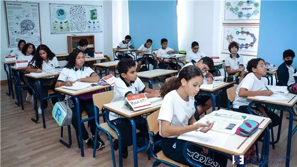 اللغة العربية والتاريخ، تحرك برلماني بشأن مواد الهوية في المدارس الدولية
