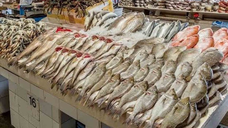 الاقتصاد الأزرق في سوريا.. ثروة خارج حسابات القيمة المضافة