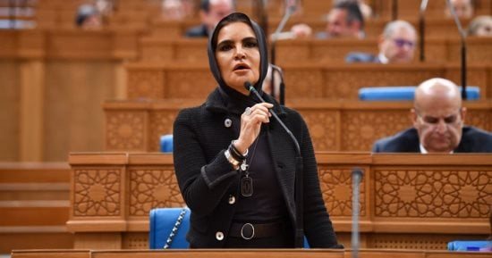 اقتصادية الشيوخ: تحقيق الأمن الغذائى مرهون بتكامل جهود مؤسسات الدولة