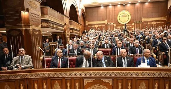 مجلس الشيوخ يناقش ضبط الأسواق ومواجهة الغلاء الأسبوع المقبل