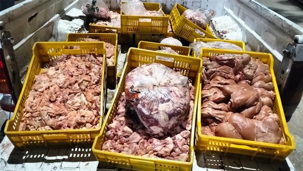 تموين الفيوم تحبط محاولة ترويج طن و190 كيلو لحوم فاسدة
