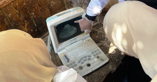 قوافل الطب البيطرى بأسوان تقدم 2065 خدمة