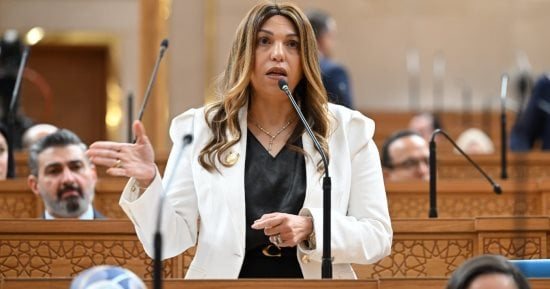 مطالب برلمانية بتعزيز دور بنك الاستثمار القومى فى دعم المشروعات الصغيرة