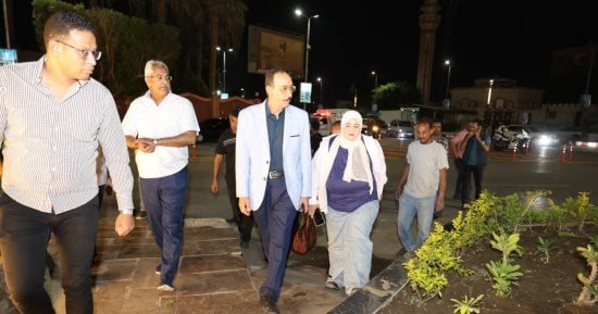 محافظ سوهاج يتابع أعمال التشجير والتجميل الجارية بحي شرق وأخميم