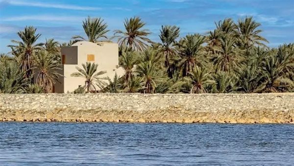 مياه سيوة بين خطرين.. استنزاف الخزان الجوفي وارتفاع مناسيب الصرف