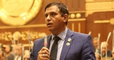 طارق نصير: كلمة فخامة الرئيس السيسى بموسكو توازن بين الأمن القومى والشراكة الدولية