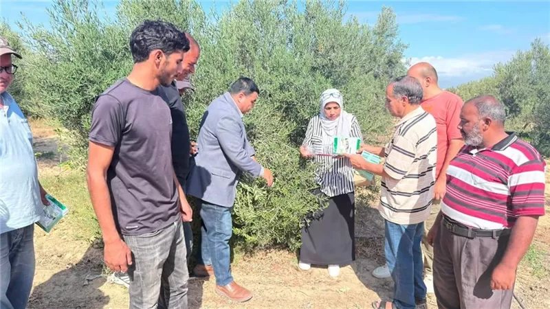 بعد حصاد المحاصيل الصيفية، الزراعة تطلق حملة قومية لمكافحة القوارض