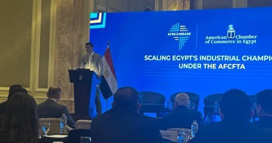 وزير الصناعة: تعزيز العلاقات الاقتصادية مع أفريقيا هدف أساسي لمصر