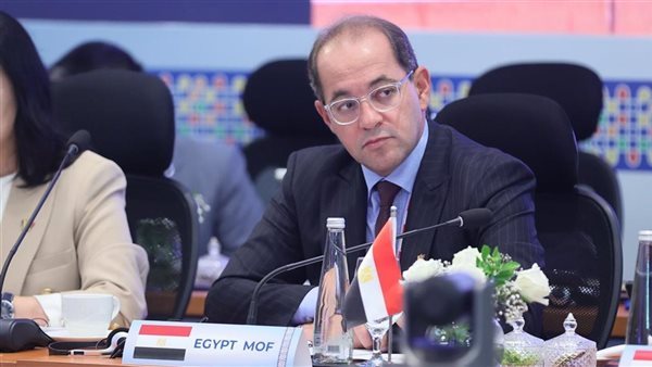 وزير المالية: نتطلع لدور أكبر لبنوك التنمية في تعزيز الشراكات الدولية لدعم أفريقيا