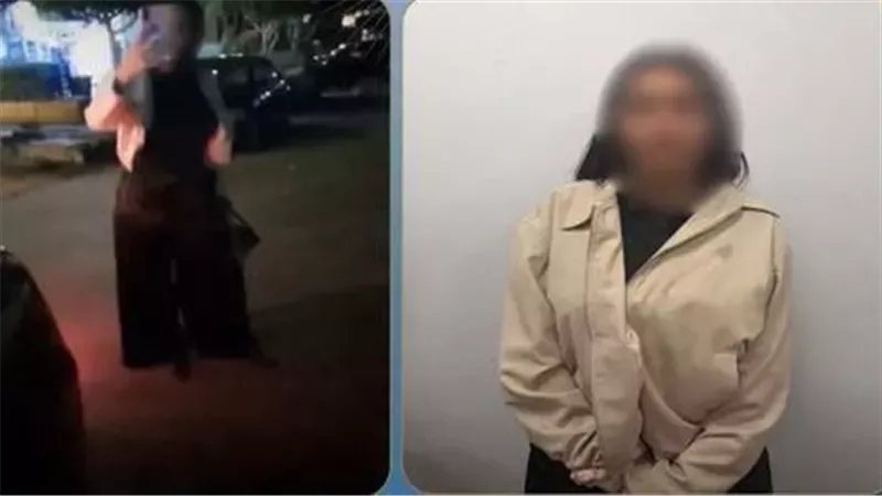 السب والتهديد وادعاء الزواج من ضابط، قائمة الاتهامات في واقعة السيدة وسائق النقل الذكي