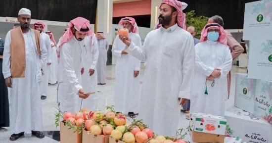 "بيئة الباحة" تختتم مهرجان الرمان الـ 15 بمبيعات تجاوزت 60 طنا فى السعودية