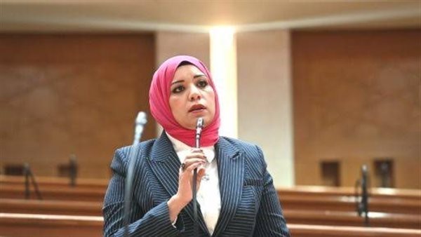مصادر: النائبة رهام فاروق رئيسا للجنة الإعلام بمجلس النواب