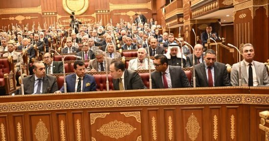 نائب يطالب بتعزيز دور بنك الاستثمار القومى فى دعم الشركات الناشئة