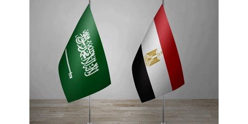 مجلس الدفاع الوطني المصري: تقديم كافة أشكال الدعم إلى السعودية
