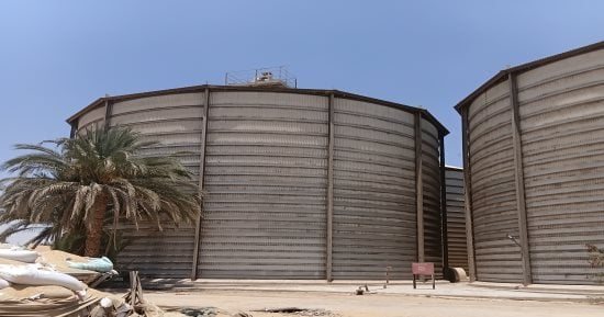 ​60 قرشًا لكل سهم... مطاحن الإسكندرية تفتح خزينتها وتوزع الملايين على المساهمين