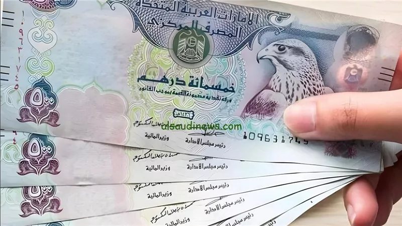 تراجع سعر الدرهم الإماراتي مقابل الجنيه في البنك المركزي اليوم الثلاثاء