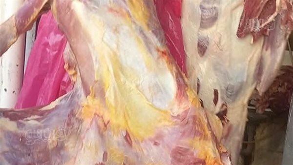 ضبط 214 كجم لحوم بقري غير صالحة للاستهلاك الآدمي في أسوان (صور)