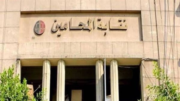 إحالة محاميين للتحقيق في النقابة بعد تنظيم احتفالية وهمية لخريجي حقوق الإسكندرية