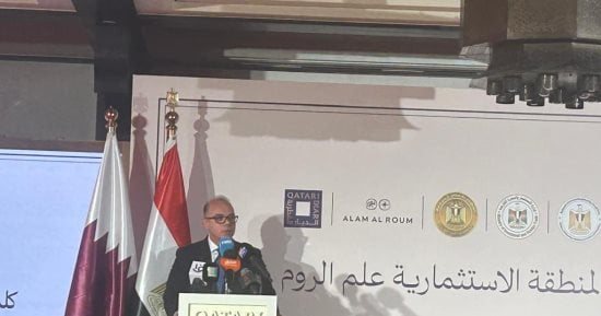 وزير الاستثمار والتجارة الخارجية: الاستثمارت الخاصة ارتفعت 65‎%‎ مقابل 40%‎