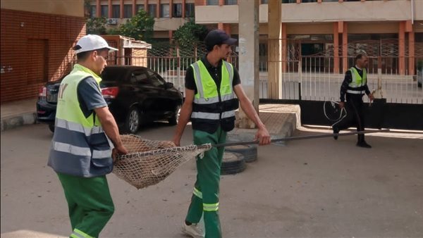 تكثيف الحملات بالمناطق الأكثر انتشارا للكلاب الضالة بالدقهلية (صور)