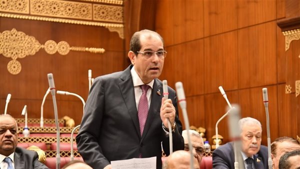 النائب يوسف عامر رئيسا للجنة الدينية بمجلس الشيوخ