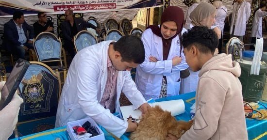 بيطري الشرقية يقدم خدمات الفحص والعلاج والتحصين لـ 14 ألف رأس ماشية وطائر مجانا