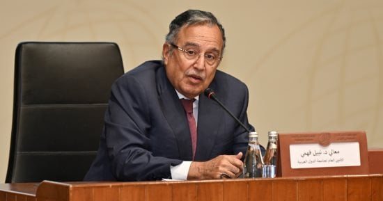نبيل فهمي: مستقبل العمل العربى يتطلب الانتقال من تسجيل المواقف إلى صناعة الفعل