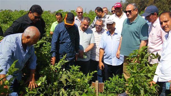 وزير الزراعة الأسبق لـ «فيتو»: لولا نشاط الباحثين الزراعيين ما كناش لقينا ناكل