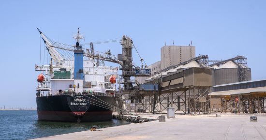 تداول 28 سفينة بضائع داخل ميناء دمياط اليوم