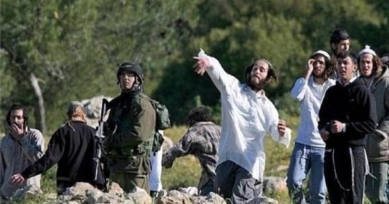 6100 هجوم للمستوطنين وتهجير 6500 فلسطيني في الضفة الغربية منذ 2022