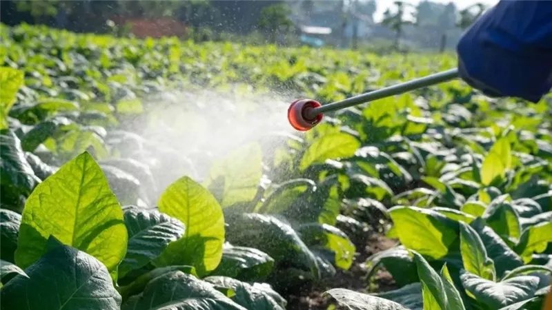 كيف تسجل مبيدا حشريا جديدا في وزارة الزراعة؟ 7 خطوات تعرف عليها