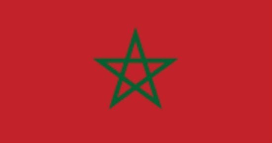 المغرب والإمارات يجددان التأكيد على مواصلة تطوير وتوطيد تعاونهما العسكرى
