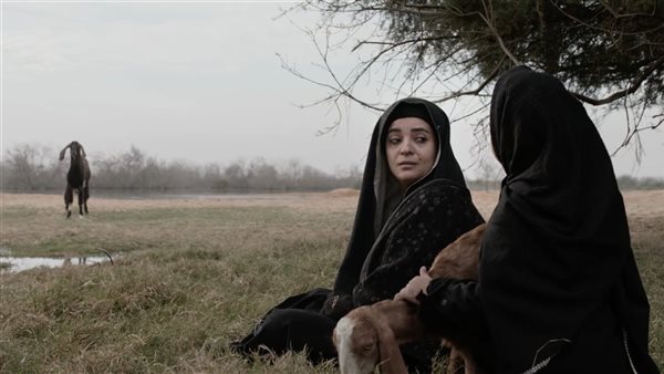 تعرف على الأفلام المصرية المشاركة بمسابقات مهرجان الجونة السينمائي في دورته التاسعة