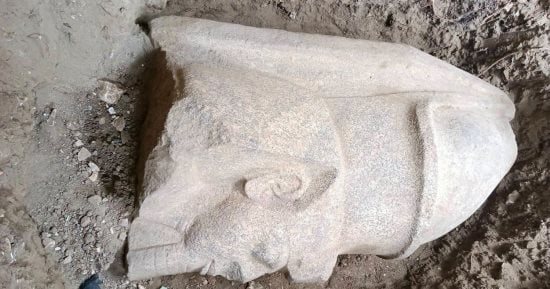لجنة من الآثار تواصل أعمال الحفر والكشف عن القطع الأثرية في أرض مواطن بالغربية
