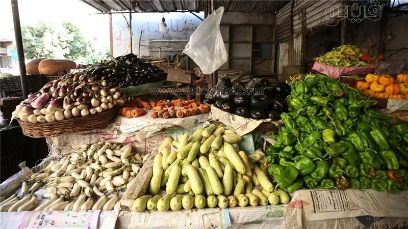سعر الخضار اليوم، الطماطم بـ 16.5 وانخفاض الخيار والكوسة 5 جنيهات وارتفاع الباذنجان