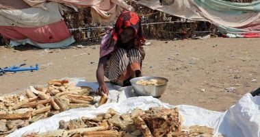 الأغذية العالمي يحذر من انعدام الأمن الغذائي الحاد في اليمن جراء الصراع