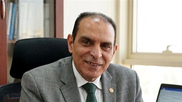 شعبة المستوردين: تيسير الإجراءات الجمركية وتطوير الربط اللوجستي مفتاح زيادة الاستثمارات الأفريقية