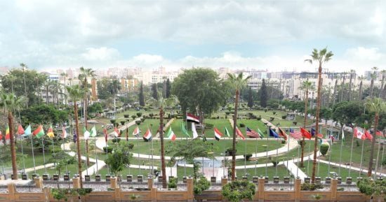 الجريدة الرسمية تنشر قرارت المخططات التفصيلية لقري المنصورة وأجا بالدقهلية