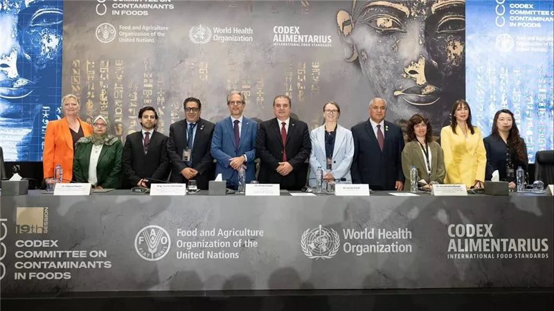 أشرف الجزايرلي: قطاع الصناعات الغذائية المصري يتميز بالتنوع والحيوية وتزداد صلاته بالأسواق العالمية