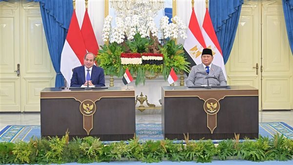 مصر وإندونيسيا تؤكدان توسيع التعاون في التعليم والثقافة والشباب وإطلاق شراكة جديدة لبناء القدرات