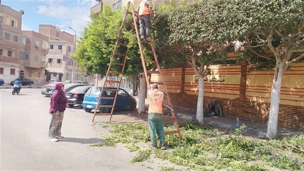 استعدادًا للاحتفال بعيد الإسماعيلية، جهاز التطوير يواصل أعمال رفع الكفاءة بعدد من المواقع