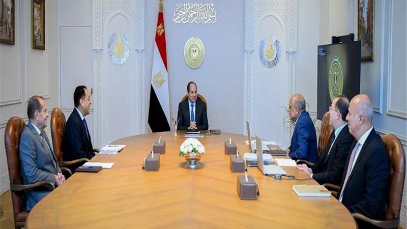 تكليفات من الرئيس السيسي لـ وزيري الكهرباء والمالية بحضور مدبولي