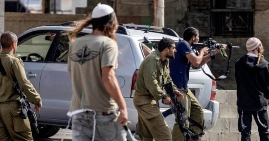 14 واقعة اعتداء على المزارعين الفلسطينيين وموسم الزيتون خلال يوم واحد