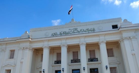 إحالة عاطل للجنايات بتهمة قتل شاب طعنًا بالسكين في الإسكندرية