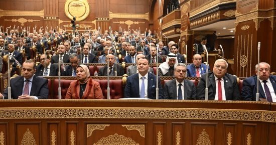 مصادر برلمانية: هشام الششتاوى رئيسًا للجنة الصحة والسكان بمجلس الشيوخ