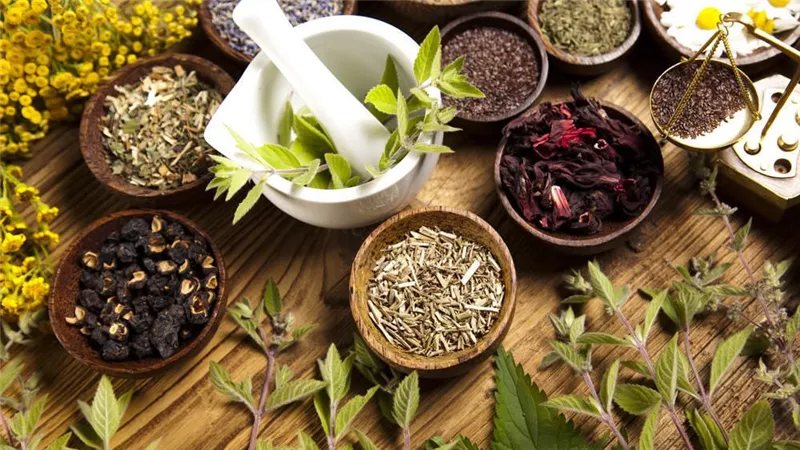 أعشاب طبيعية لتحسين الهضم وتهدئة المعدة والتخلص من الانتفاخ